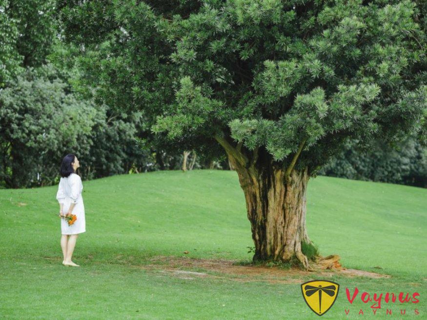 中年女士拍照拒绝“大妈感”，6个扬长避短的小技巧，拍照好看、自然有气质