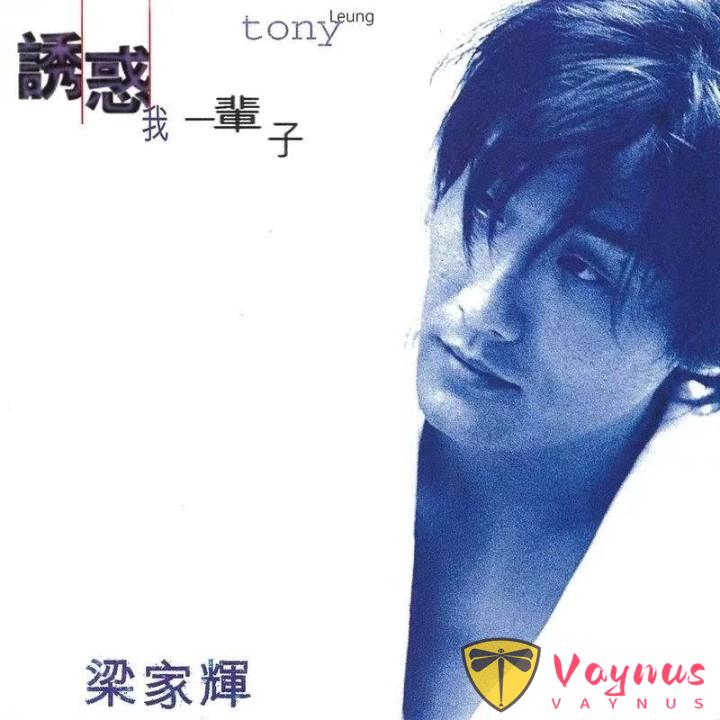 番外：几个跨界没成功的港台影星