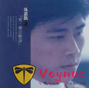 音乐才子伍思凯的美仑美奂的经典励志故事！