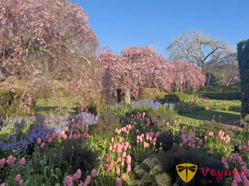 灣區春天最美的時刻，都藏在這些花園裏