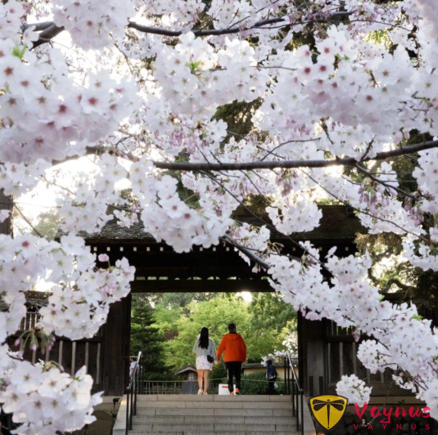 灣區春天最美的時刻，都藏在這些花園裏