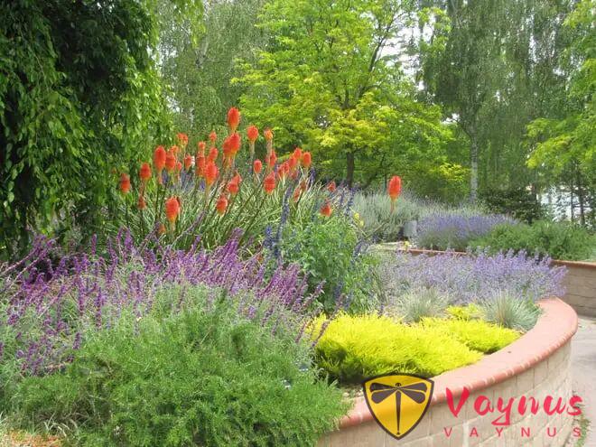 灣區春天最美的時刻，都藏在這些花園裏