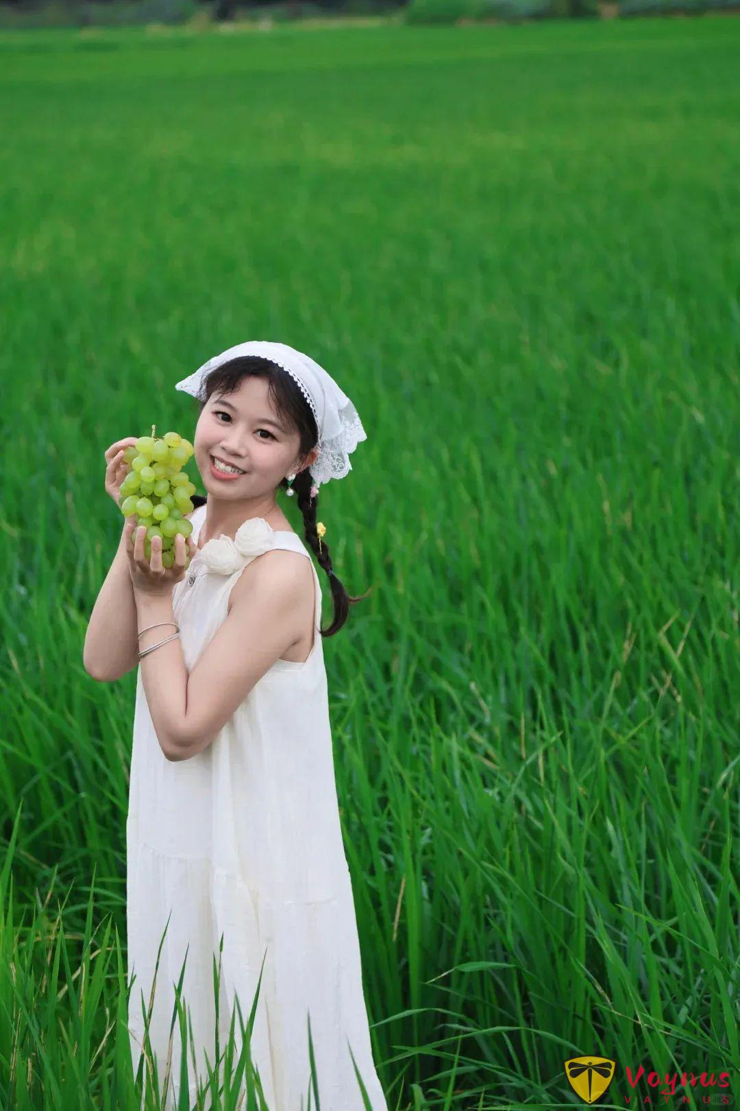 穿上白色裙子在田间漫步，如何拍出既清新又自然的照片？