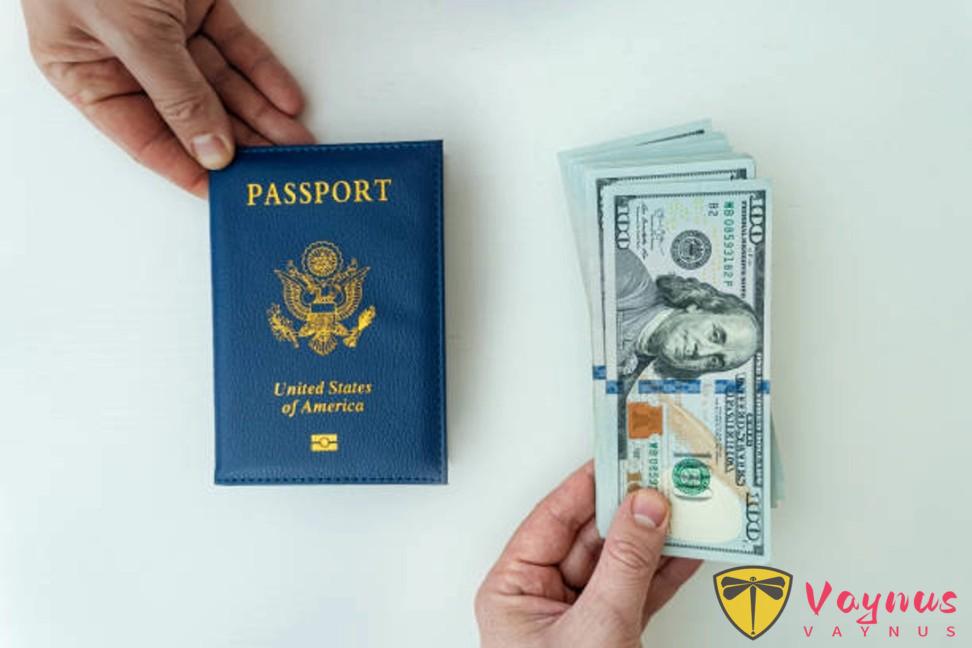 赴美必看:EVUS登记免费倒计时,只剩最后一周!