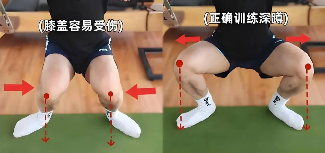 增肌双动作训练法：胸背腿手臂各练两个动作的围度方案