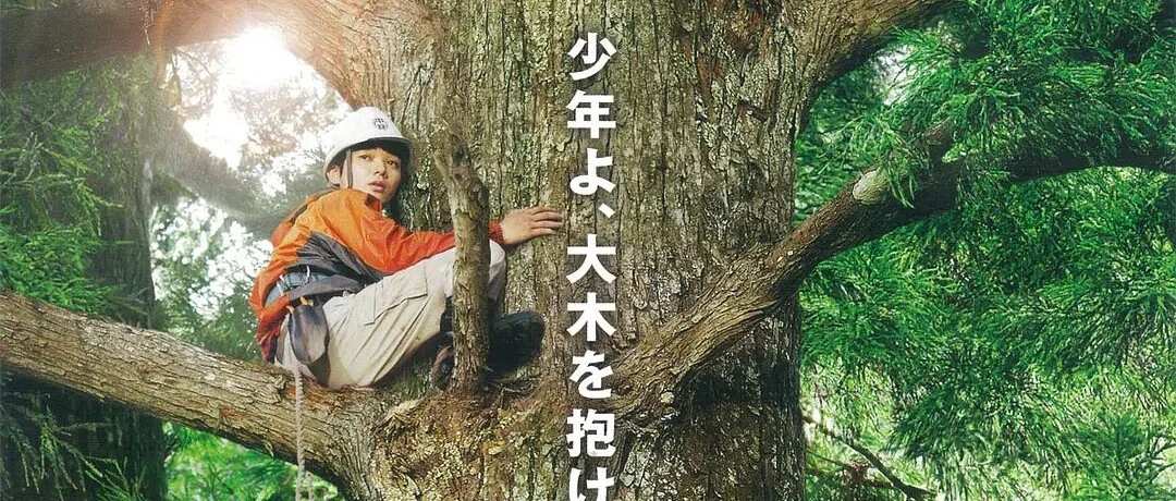 4部被低估的小众喜剧：不靠段子堆砌，笑完还有温柔的后劲