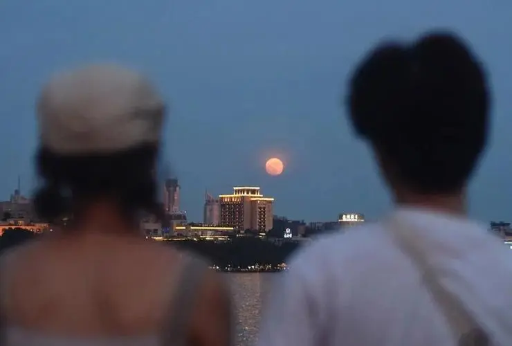 别再误解“门当户对”：真正长久的婚姻，从来都是势均力敌