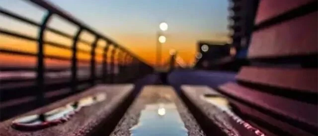 普通场景怎么拍出好照片？浅景深、低角度与逆光的运用