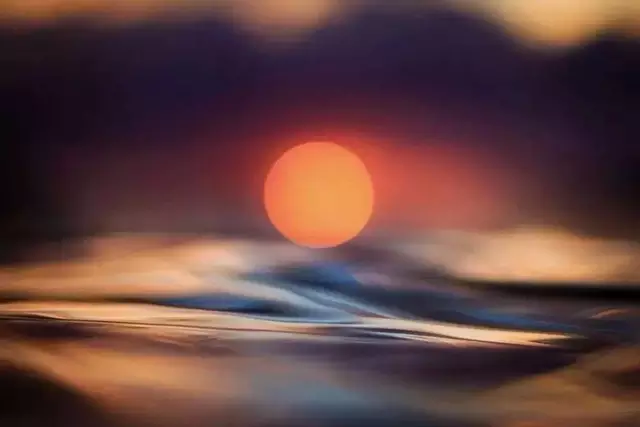普通场景怎么拍出好照片？浅景深、低角度与逆光的运用