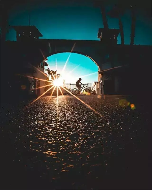 普通场景怎么拍出好照片？浅景深、低角度与逆光的运用