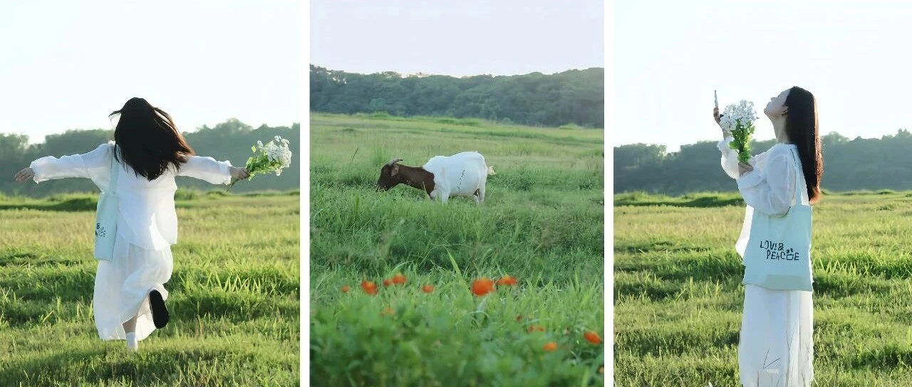 鄉下草地也能出片：自然光下的治癒系人像拍攝思路