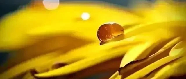 逆光照片為什麼好看？拍攝時間、題材與曝光的處理方法