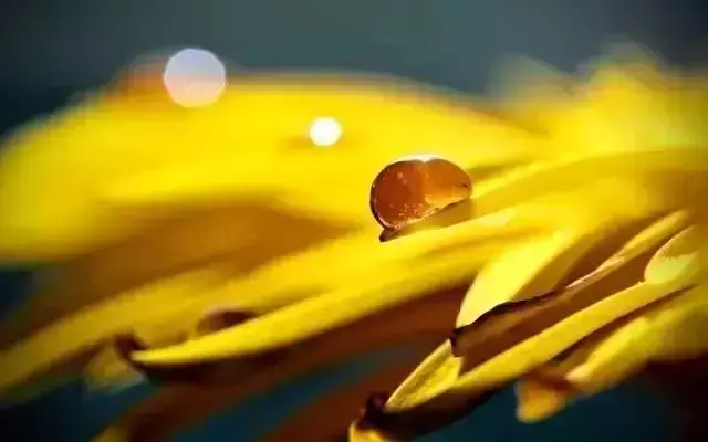 逆光照片為什麼好看？拍攝時間、題材與曝光的處理方法
