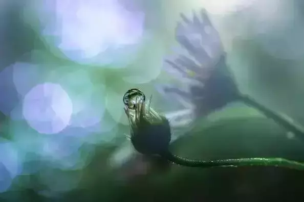 逆光照片為什麼好看？拍攝時間、題材與曝光的處理方法