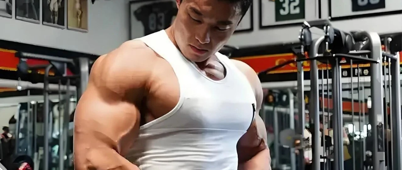 健身房器械动作图谱:55个动作分别练到哪块肌肉